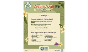 2.Zeytin Çiçeği Festivali Başlıyor