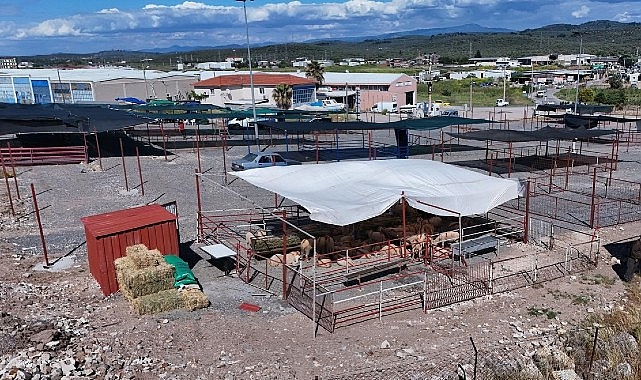 Ayvalık’ta Kurban Pazarı Hizmete Açıldı