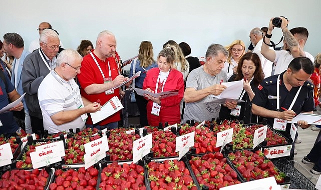 Çilek tadında festival, milyonu aşkın misafir ağırladı