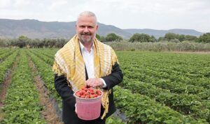 En lezzetli Festival için geri sayım başladı