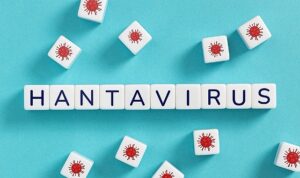Hantavirüsün insandan insana yayılım riski düşük