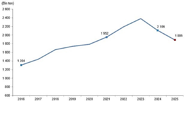 Kırmızı Et Üretim İstatistikleri, 2025