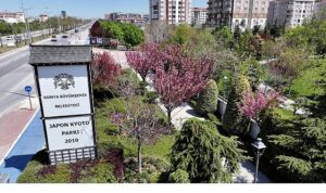 Sakuralar İçin Japonya’ya Gitmenize Gerek Yok; Konya’da Sakura Mevsimi Başladı