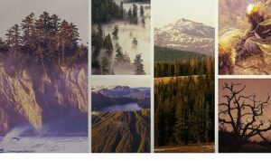 ‘Ulusal Parklar: Amerika Özel’,   3 Mayıs Pazar Saat 20.00’de  National Geographic WILD Ekranlarında İzleyicilerle Buluşuyor!
