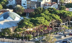 Altın Karınca Ödüllü Klasik Pazar Üçüncü Yılında Sanatın Ritmini Üsküdar’da Yaşatıyor