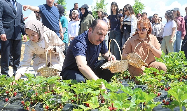 Başkan Altay 2027 Yılı Tarımsal Destek Başvurularının 1 Temmuz’da Başlayacağını Duyurdu