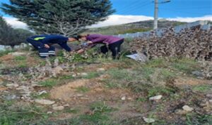 Büyükşehir tasarrufta rekor kırdı