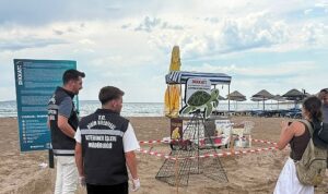 Didim Belediyesi Ekiplerinin Zamanında Müdahalesi Caretta Carettayı Kurtardı