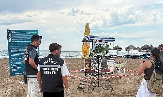Didim Belediyesi Ekiplerinin Zamanında Müdahalesi Caretta Carettayı Kurtardı