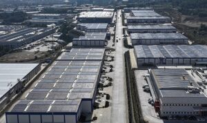 ESBAŞ, Çevreci Yatırımlarla 2025 Yılında 8 Bin Ağaç Kurtardı