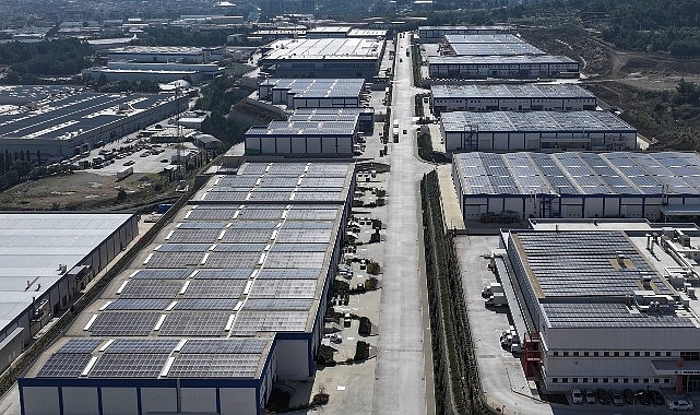 ESBAŞ, Çevreci Yatırımlarla 2025 Yılında 8 Bin Ağaç Kurtardı