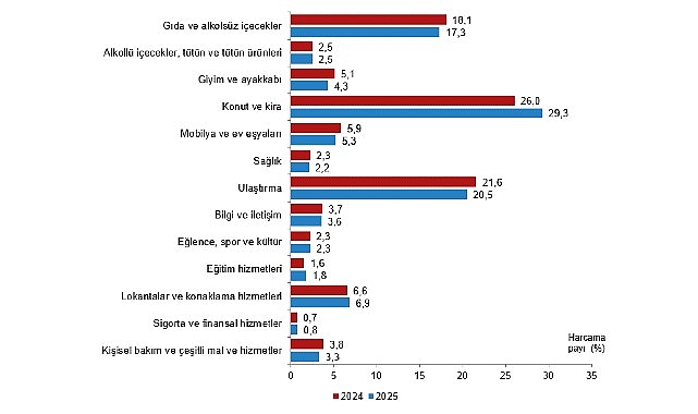 Hanehalkı Tüketim Harcaması, 2025