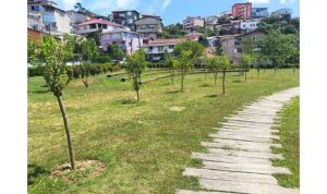 İBB, Park ve Bahçelere Meyve Ağaçları Dikiyor