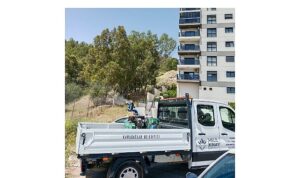 Karabağların 58 Mahallesinde İlaçlama Seferberliği Devam Ediyor