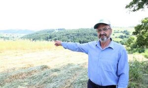 Kocaeli’de “süt otu” hasadı başladı