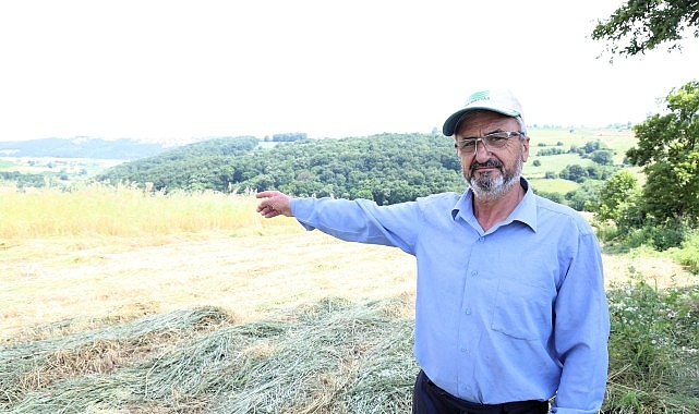 Kocaeli’de “süt otu” hasadı başladı