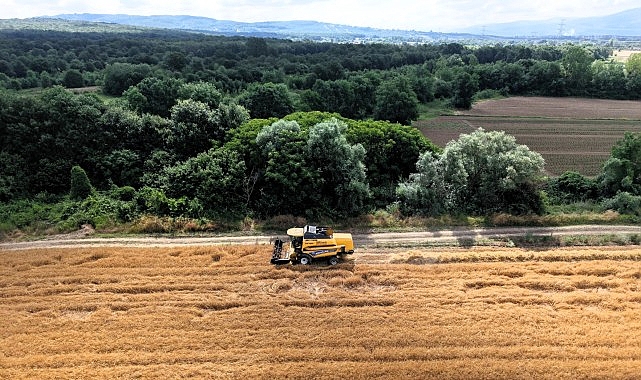 Kocaeli’de tarım, altın çağını yaşıyor