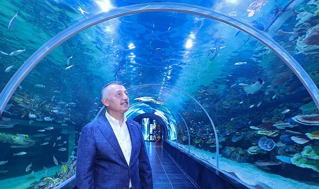 Körfez Aqua Kıtalar Akvaryumu kapılarını açıyor