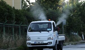 Küçükçekmece’de Sivrisineklere Karşı Mücadele Yoğunlaştı