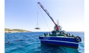 Midye kabukları deniz yaşamına nefes olacak