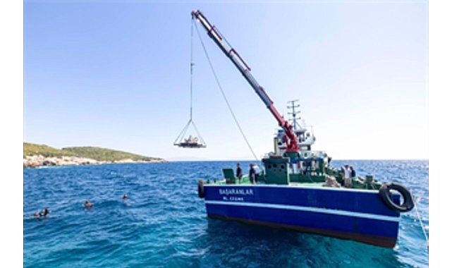 Midye kabukları deniz yaşamına nefes olacak