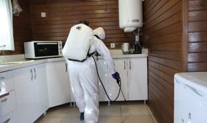 Nilüfer Belediyesi’nden halk sağlığı için haşere ve kemirgen mücadelesi