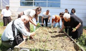 Nilüfer’de yaşlılar fideleri toprakla buluşturdu