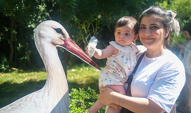 Ormanya’da yavru leylek Atlas’a sürpriz kutlama