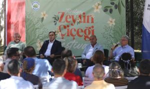 Tirilye’de “Zeytin Çiçeği Festivali”ne Büyük İlgi