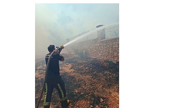 Büyükşehir İtfaiyesi’nden orman yangınına müdahale