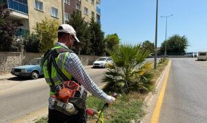 Çeştepe Mahallesi Muhtarından Başkan Çerçioğlu’na Hizmet Teşekkürü