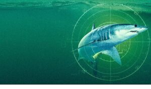 ‘Dünyanın En Büyük Mako Köpekbalığı’,   19 Temmuz Pazar Saat 20.00’de  National Geographic WILD Ekranlarında!