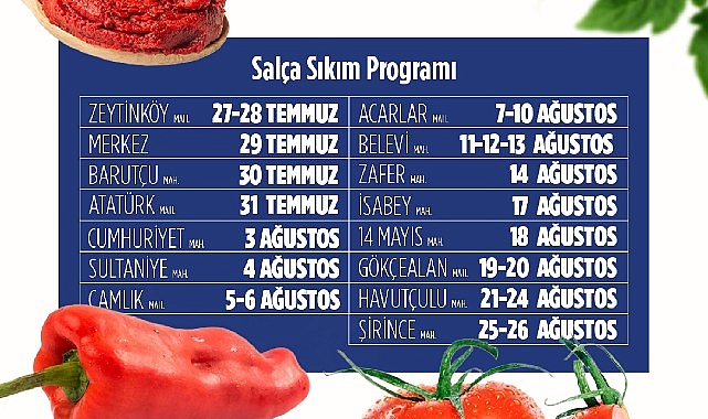 Efes Selçuk’ta kışlık salça hazırlıkları başlıyor