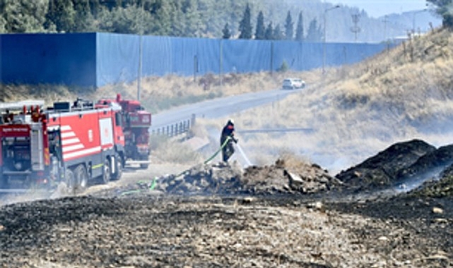 İzmir İtfaiyesi bukalemunu hayata döndürdü