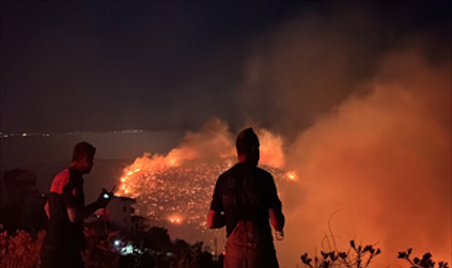 İzmir’in kuzeyinde orman yangını alarmı